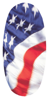 DASOV 420 American Flag